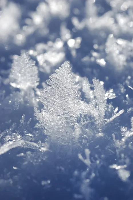 Gerahmter Druck : Eiskrystalle in Schnee, Detail.