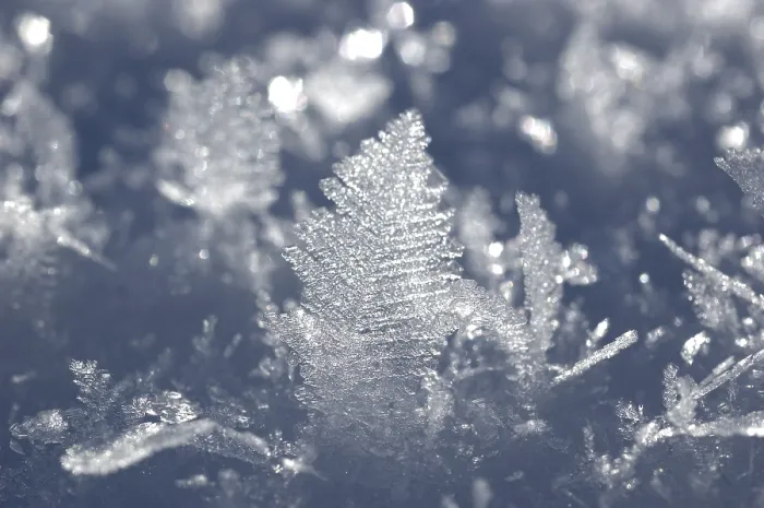 Gerahmter Druck : Eis Kristalle in Schnee, Detail. Gerahmter Druck : Eis Kristalle in Schnee, Detail.