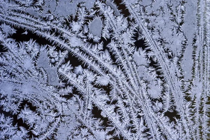 Gerahmter Druck : Eisblumen am Fenster. Gerahmter Druck : Eisblumen am Fenster.