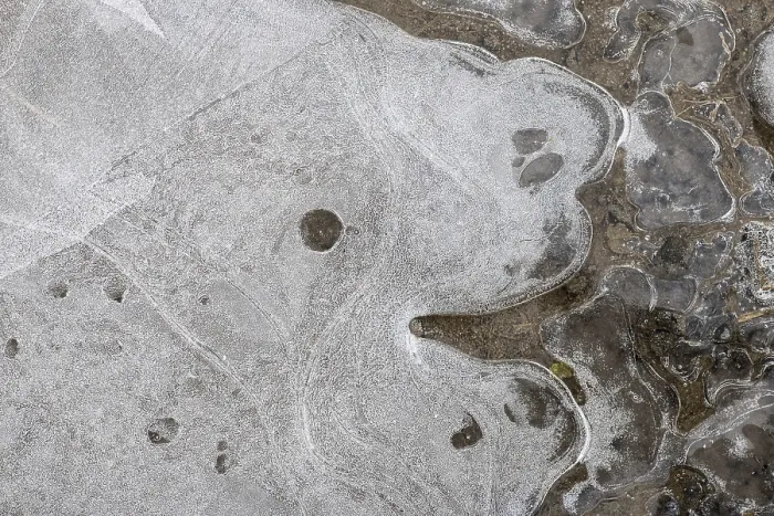 Gerahmter Druck : Eismustern in einem Pfütze, Hessen, Deutschland. Gerahmter Druck : Eismustern in einem Pfütze, Hessen, Deutschland.