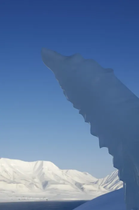 Gerahmter Druck : Eisstatue in der Abenddämmerung, ihre sanften Konturen schimmern im fahlen Licht Gerahmter Druck : Eisstatue in der Abenddämmerung, ihre sanften Konturen schimmern im fahlen Licht