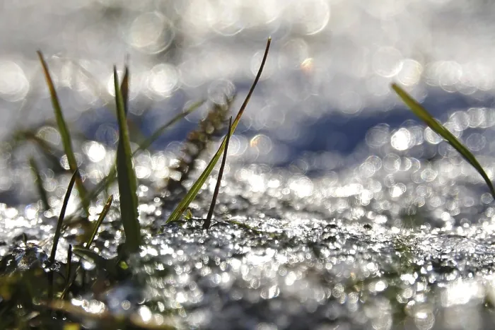 Gerahmter Druck : Eis und Schnee, Winter, Deutschland. Gerahmter Druck : Eis und Schnee, Winter, Deutschland.