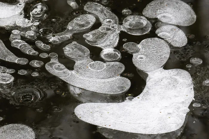 Gerahmter Druck : Eisstrukturen in einem Pfütze, Luftblasen im Eis. Gerahmter Druck : Eisstrukturen in einem Pfütze, Luftblasen im Eis.