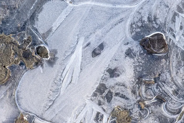 Gerahmter Druck : Eisstrukturen in einem Wasserpfütze. Gerahmter Druck : Eisstrukturen in einem Wasserpfütze.