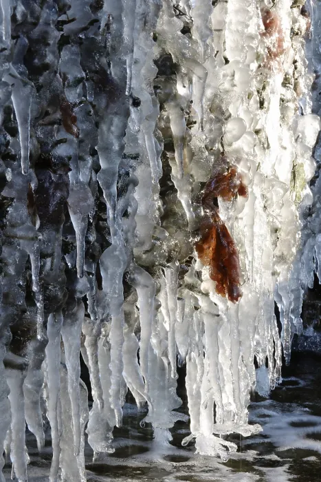 Gerahmter Druck : Eis, Winter, Deutschland Gerahmter Druck : Eis, Winter, Deutschland