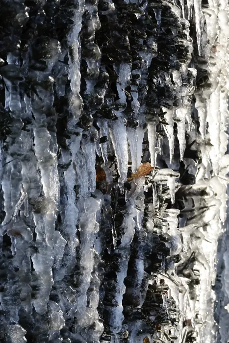 Gerahmter Druck : Eis, Winter, Deutschland Gerahmter Druck : Eis, Winter, Deutschland