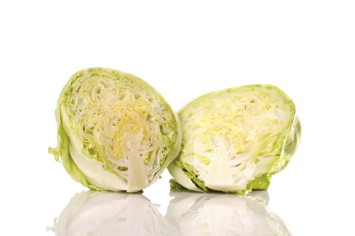 Gerahmter Druck : Eisbergsalat halbiert. Gerahmter Druck : Eisbergsalat halbiert.