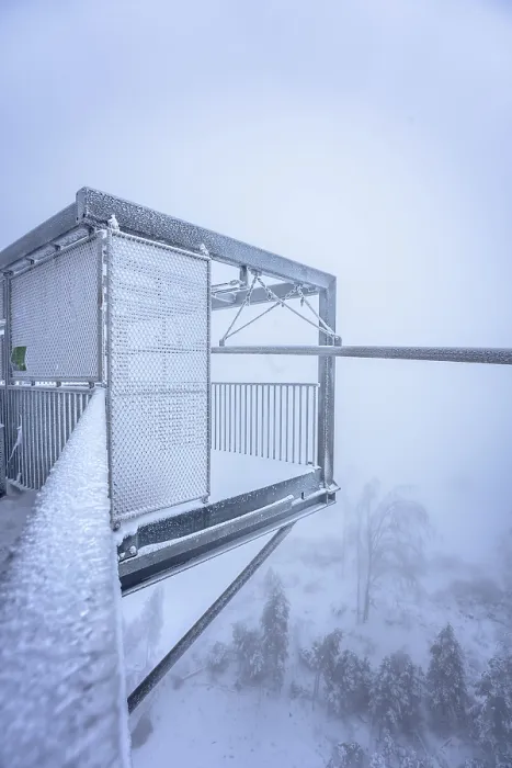 Gerahmter Druck : Eisgitter im Winter, Schomberg. Gerahmter Druck : Eisgitter im Winter, Schomberg.
