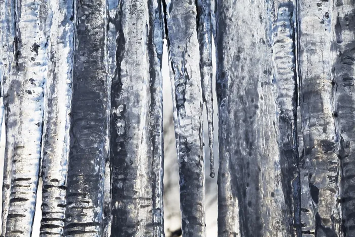 Gerahmter Druck : Icicles Gerahmter Druck : Icicles
