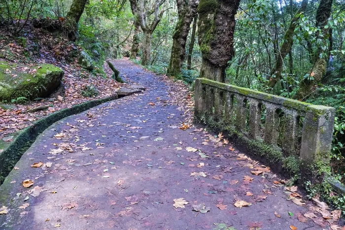Gerahmter Druck : Idyllischer Wanderweg mit Levada. Gerahmter Druck : Idyllischer Wanderweg mit Levada.