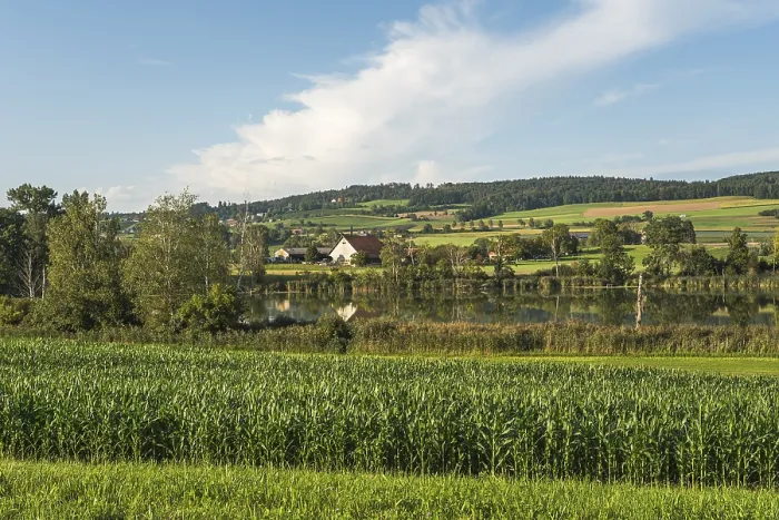 Gerahmter Druck : Idyllischer Landschaft am Hasensee. Gerahmter Druck : Idyllischer Landschaft am Hasensee.