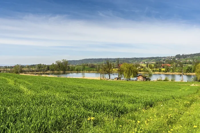 Gerahmter Druck : Idyllischer Landschaft am Hasensee. Gerahmter Druck : Idyllischer Landschaft am Hasensee.