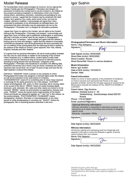 Gerahmter Druck : Igor Sushin Gerahmter Druck : Igor Sushin