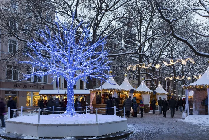 Gerahmter Druck : Illuminierter Baum in Blau auf dem Augustusmarkt. Gerahmter Druck : Illuminierter Baum in Blau auf dem Augustusmarkt.