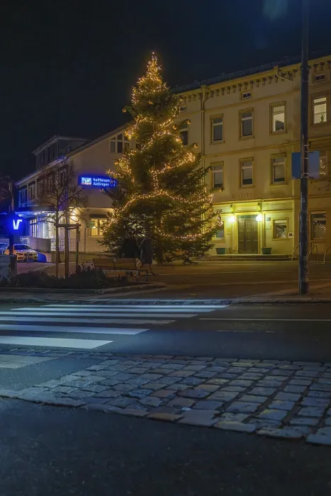 Gerahmter Druck : Ein beleuchteter Baum vor einem Gebäude in der Nacht.