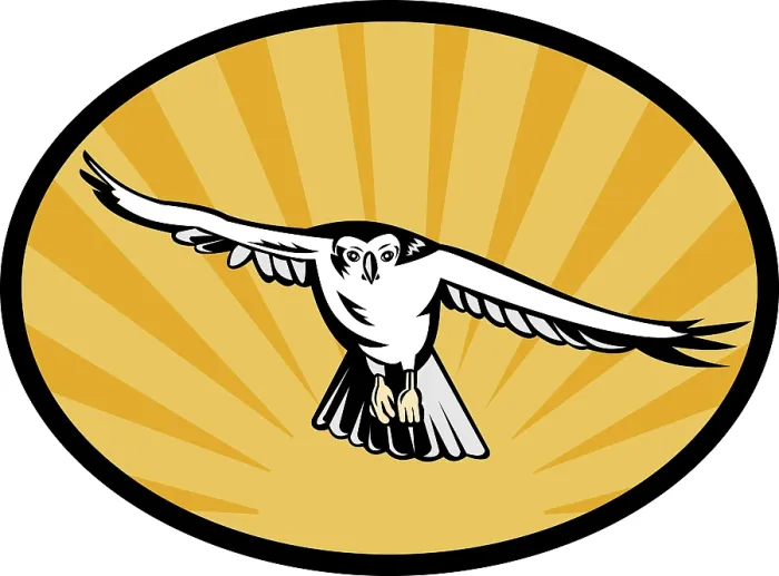 Gerahmter Druck : Illustration einer Weißrückensperber schwebt herab.
