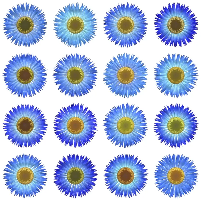 Gerahmter Druck : Eine Illustration einiger isolierter verschiedener Blumen. Gerahmter Druck : Eine Illustration einiger isolierter verschiedener Blumen.
