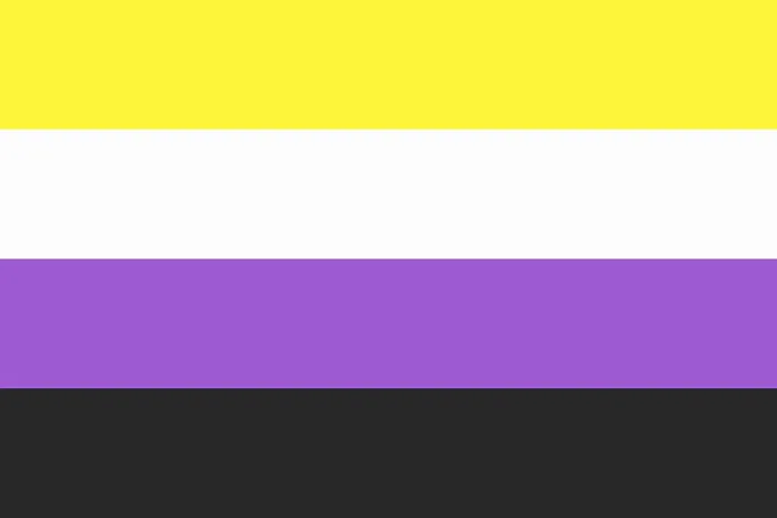 Gerahmter Druck : Illustrierung der Non-Binary Pride Flag