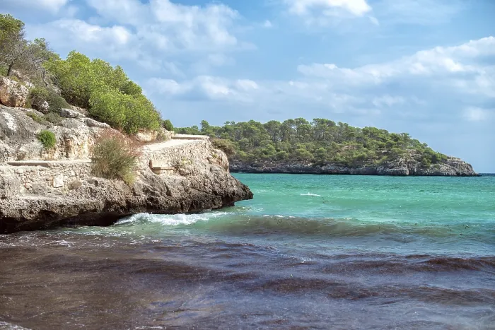 Gerahmter Druck : Bild einer schönen Strand mit Algen. Gerahmter Druck : Bild einer schönen Strand mit Algen.