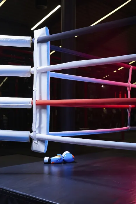 Gerahmter Druck : Bild eines Boxringes ohne jemanden. Gerahmter Druck : Bild eines Boxringes ohne jemanden.
