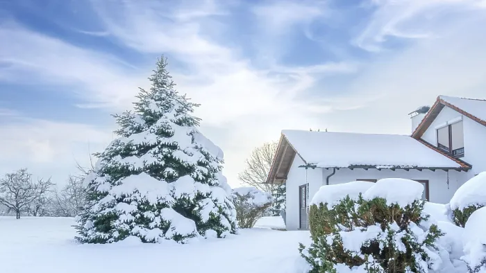 Gerahmter Druck : Ein Bild einer kalten Winterlandschaft mit Schnee. Gerahmter Druck : Ein Bild einer kalten Winterlandschaft mit Schnee.