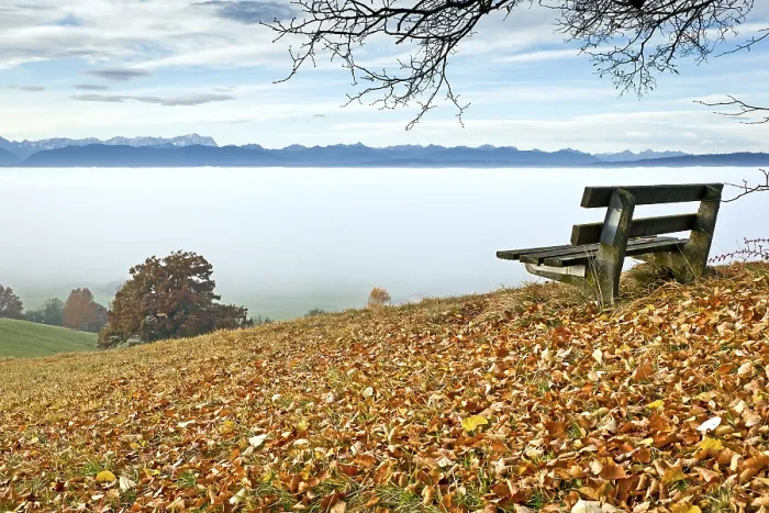 Gerahmter Druck : Ein Bild eines schönen Herbstlandschafts. Gerahmter Druck : Ein Bild eines schönen Herbstlandschafts.