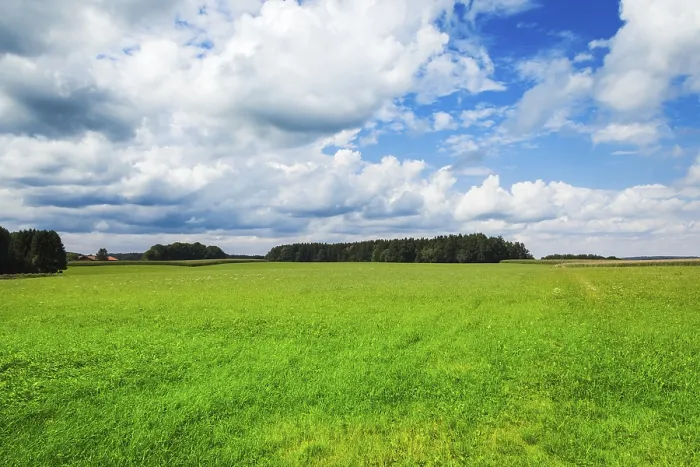 Gerahmter Druck : Ein Bild eines schönen bayerischen Landschafts. Gerahmter Druck : Ein Bild eines schönen bayerischen Landschafts.