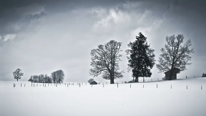 Gerahmter Druck : Ein Bild einer schönen Winterlandschaft. Gerahmter Druck : Ein Bild einer schönen Winterlandschaft.