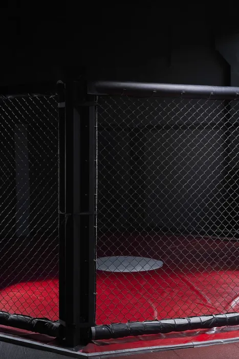 Gerahmter Druck : Bild eines Achtecks. Konzept des Boxens. Gerahmter Druck : Bild eines Achtecks. Konzept des Boxens.