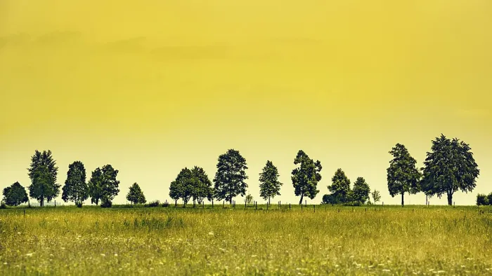 Gerahmter Druck : Ein Bild eines ländlichen Abendhimmels. Gerahmter Druck : Ein Bild eines ländlichen Abendhimmels.