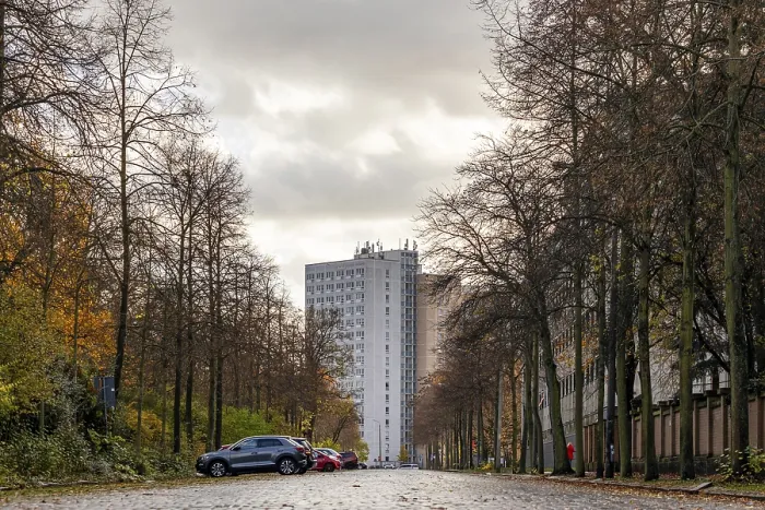 Gerahmter Druck : Gerahmter Druck :