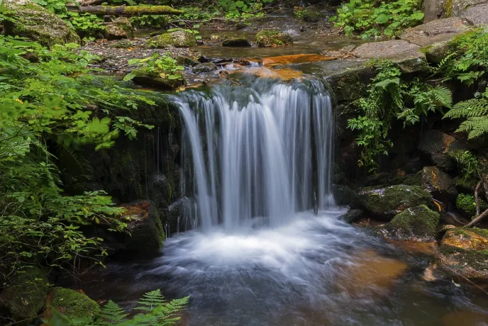 Gerahmter Druck : Bila Opava Wasserfall in einem grünen Wald Gerahmter Druck : Bila Opava Wasserfall in einem grünen Wald
