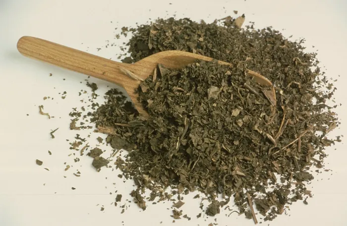 Gerahmter Druck : Indischer Patchouli (Pogostemon cablin) Gerahmter Druck : Indischer Patchouli (Pogostemon cablin)