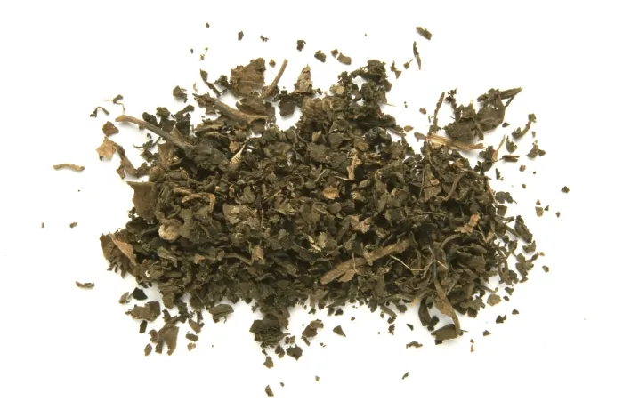 Gerahmter Druck : Indischer Patchouli (Pogostemon cablin) Gerahmter Druck : Indischer Patchouli (Pogostemon cablin)