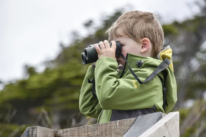 Gerahmter Druck : Interessierter Junge, der durch ein Fernglas schaut. Gerahmter Druck : Interessierter Junge, der durch ein Fernglas schaut.