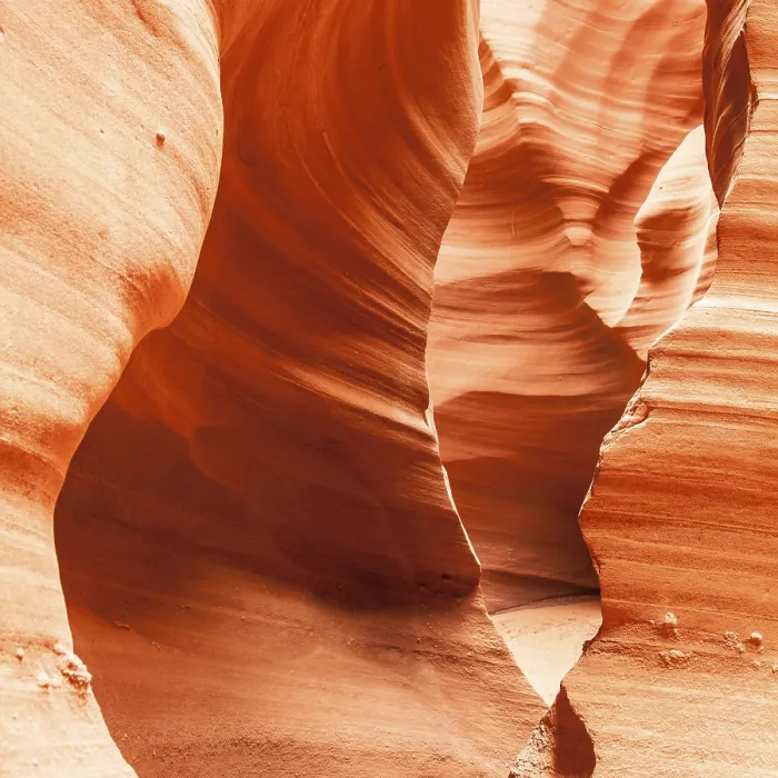 Gerahmter Druck : Innenraum des Antelopen Canyons, wunderbare orangefarbene Wellen aus Stein. Gerahmter Druck : Innenraum des Antelopen Canyons, wunderbare orangefarbene Wellen aus Stein.