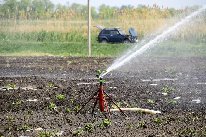 Gerahmter Druck : Bewässerungssystem im Feld von Melonen. Gerahmter Druck : Bewässerungssystem im Feld von Melonen.