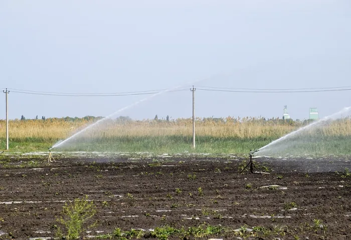 Gerahmter Druck : Bewässerungssystem in Melonenfeld. Gerahmter Druck : Bewässerungssystem in Melonenfeld.