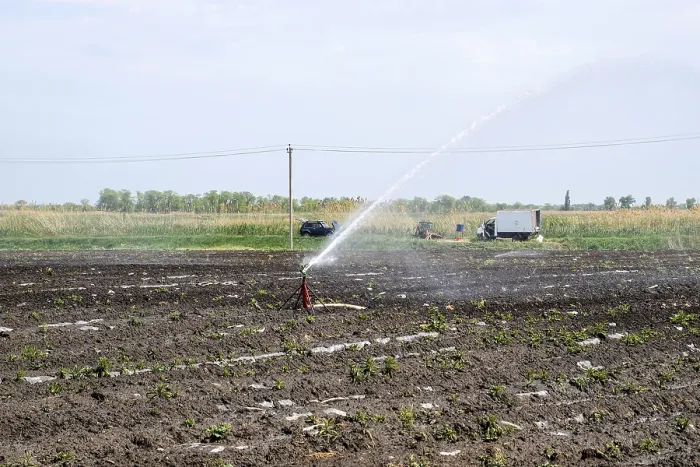 Gerahmter Druck : Irrigationsystem im Melonenfeld. Wasserung der Felder. Sprinkler in Aktion. Gerahmter Druck : Irrigationsystem im Melonenfeld. Wasserung der Felder. Sprinkler in Aktion.