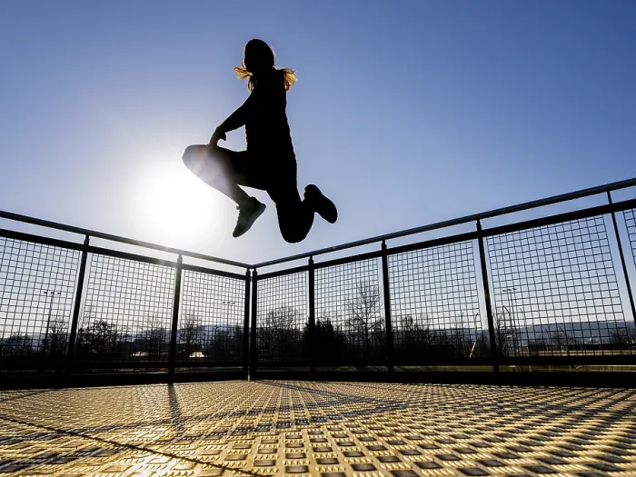 Gerahmter Druck : Spring, Silhouette gegen das Licht. Gerahmter Druck : Spring, Silhouette gegen das Licht.