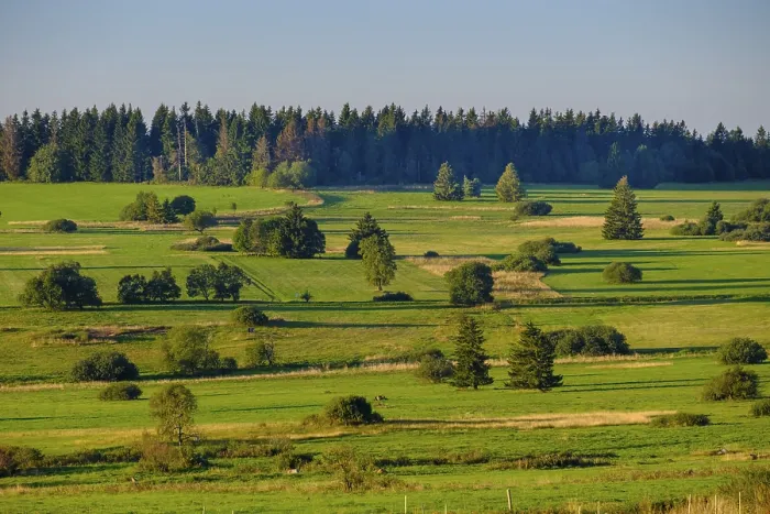 Gerahmter Druck : Juniperheiden, Hochrhonstraße Gerahmter Druck : Juniperheiden, Hochrhonstraße