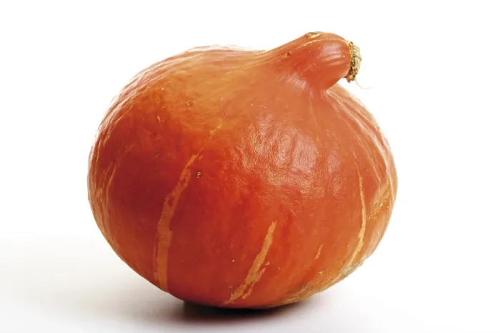 Gerahmter Druck : Kabocha-Kürbis (Cucurbita maxima maxima convar) Gerahmter Druck : Kabocha-Kürbis (Cucurbita maxima maxima convar)