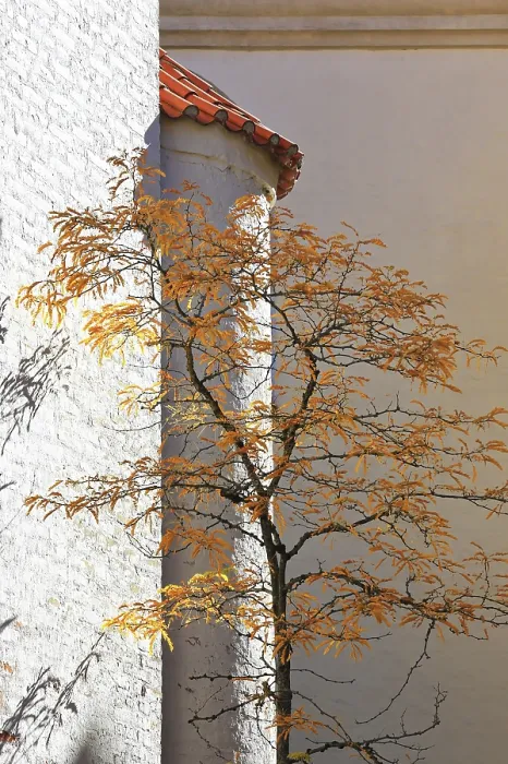 Gerahmter Druck : Kaufbeuren Gerahmter Druck : Kaufbeuren