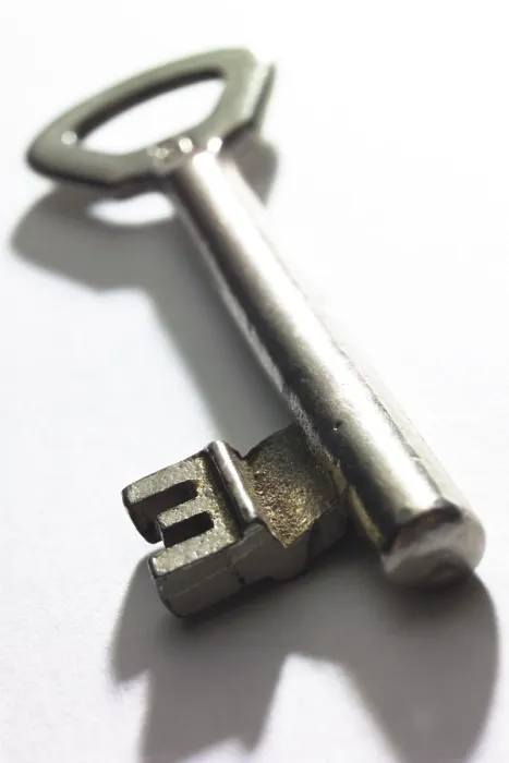 Gerahmter Druck : Key Gerahmter Druck : Key