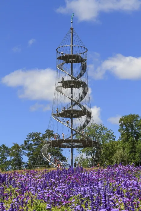 Gerahmter Druck : Killesberg-Turm, Hohnpark Killesberg Gerahmter Druck : Killesberg-Turm, Hohnpark Killesberg
