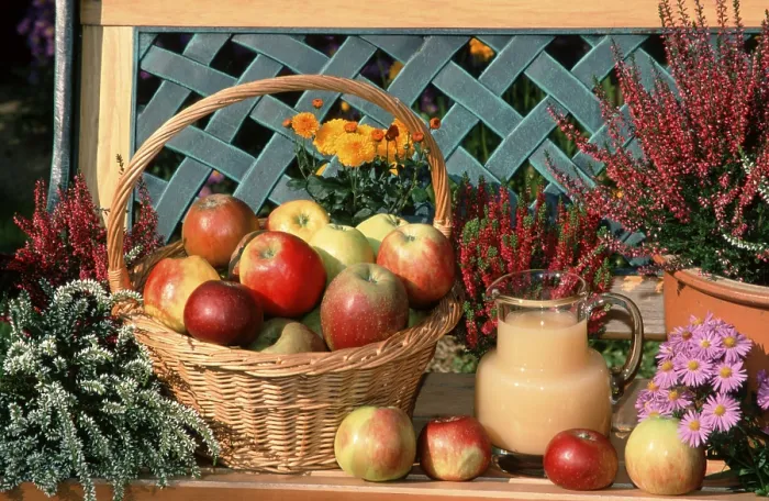 Gerahmter Druck : Viele Arten von Äpfeln. Gerahmter Druck : Viele Arten von Äpfeln.