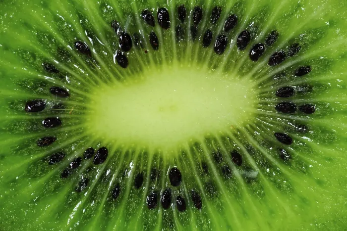 Gerahmter Druck : Kiwi, Nahansicht.