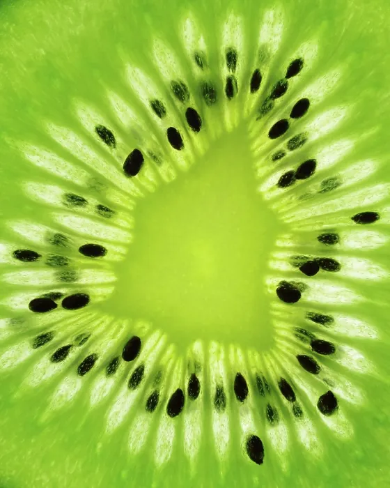 Gerahmter Druck : Kiwi Frucht Gerahmter Druck : Kiwi Frucht