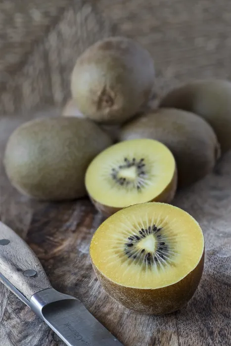 Gerahmter Druck : Kiwi-Frucht Gerahmter Druck : Kiwi-Frucht