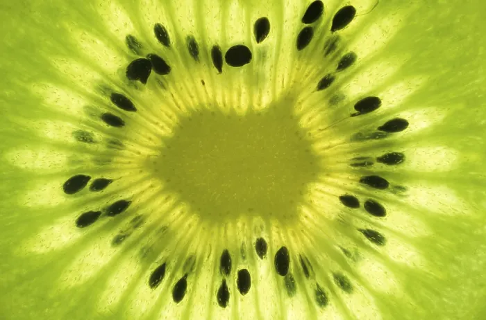 Gerahmter Druck : Kiwi-Scheibe, Makro Gerahmter Druck : Kiwi-Scheibe, Makro